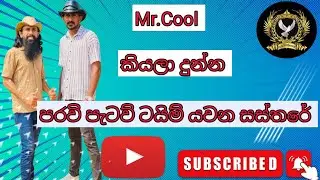ලග එන ටුලමන්ට් වල වැඩ පෙන්වන්න පරවි පැටව් මෙහෙම ට්‍රෙනින් කරන්න ❤️🕊