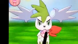 Pok&eacute;mon Amie 492 Shaymin Sky Forme
