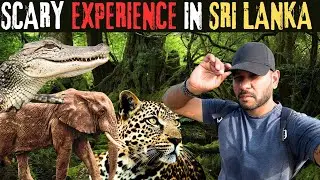 Exploring Dangerous Wild Life of SRI LANKA | Best National parks to Safari