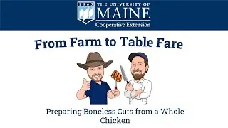From Farm to Table Fare: Preparing Boneless Cuts from a Whole Chicken