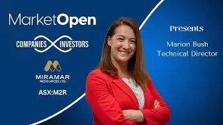 Miramar Resources | Technical Director Marion Bush on Chain Pool, funding and strategy