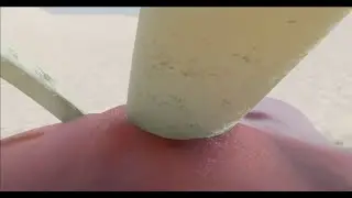 even even-toed ungulates bleed out