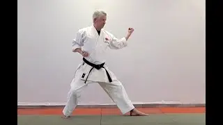 Heian Godan: Karate-Lehrvideo aus dem Budocentrum Hamburg