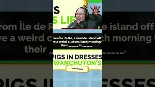 1/1/26 Fibbage 3 GG Dust !!! #JackBoxParty3 | #pepp3rpotts on #Twitch #TwitchWomensGuild
