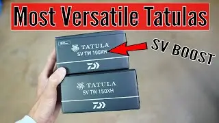 Best Casting Daiwa Tatula Baitcast Reels I Tatula SV TW 100 + 150