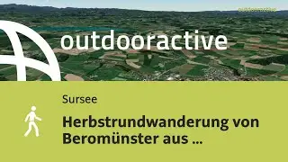 Herbstrundwanderung von Berom&uuml;nster aus &uuml;ber Rickenbach LU am 1. November 2025