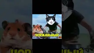 Настоящие котики в Vigor #игры #memes #games #юмор #bohemiainteractive #приключения #экшен #шутер