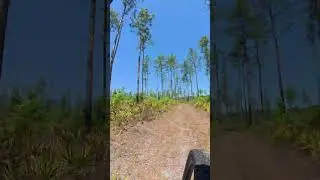 Fosters Doubletrack and some FT