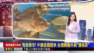 獨家》有魚無市！ 中國低價競爭 台灣鯛難外銷「價格跌」2026/01/18 【房業涵晚報】@newsebc