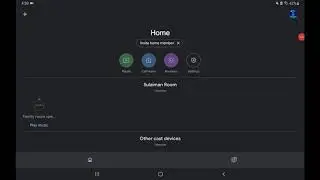 Google Home Mini App Review