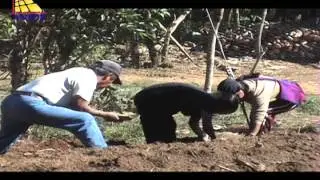 Video Institucional ANIDE