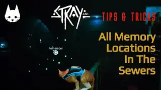 HOW TO FIND MEMORY LOCATIONS IN THE SEWERS IN STRAY? | STRAY GAME TIPS AND TRICKS | GAMERS DIGEST