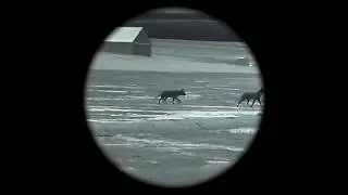 TRIJICON IR HUNTER BAE DETECTOR HD