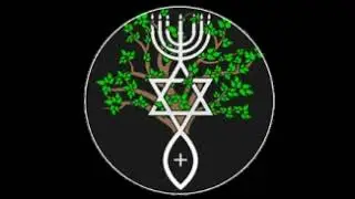 ECDD: El Humano Imagen de Elohim