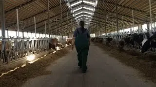 MSD Animal Health: Our Story
