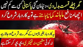 New Trending Business Idea in Pakistan 2026 | Low Investment business