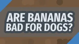 Are bananas bad for dogs?