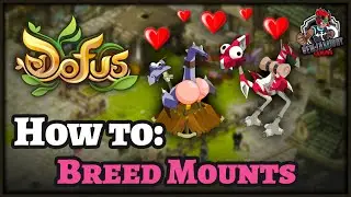 Dofus Guide – How to Breed Dragoturkey Mounts!! Breeding made EASY!!