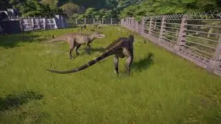 FINALLY.  Site B. mode episode 1. We've cloned Carcharodontosaurus !!