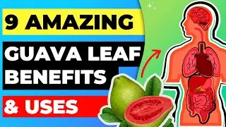 9 Amazing Guava Leaf Benefits and Uses