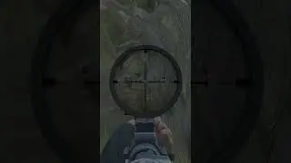HIT CONTRACT SNIPING STALKER GAMMA