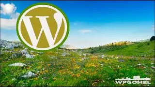 Summer Online WordPress Meetup
