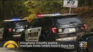 Police Investigating Human Remains Found In Boyce Park