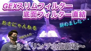 シュリンプ水槽崩壊！GEXスリムフィルターMと底面フィルター直結辞めました。そして新たな姿に・・