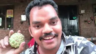 DIWALI FESTIVAL 🎎🥮  full moj masti || long time video #vlog #tranding 