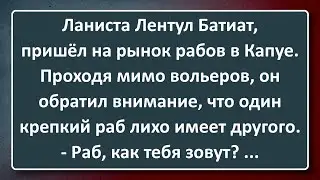 Спартак против Динамо! Сборник Изумрудных Анекдотов №34