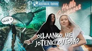 Pelleillään Sydneyn SeaLifessa🦈 » T I N K E w/Mandimai