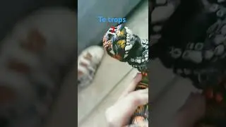 Te trops 7