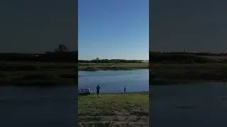 Fly Above the River 🕊️🌊 | Nature from Above