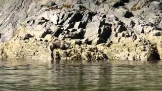Craignish Cruises