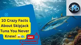 10 Crazy Facts About Skipjack Tuna You Never Knew! 😱🐟