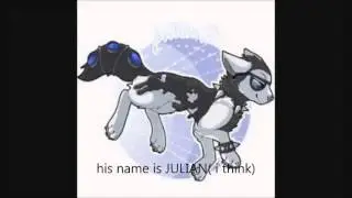 Animal Jam famous jammers names ( new intro )