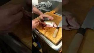 Japanese Knife Skills: Breaking Down Fish