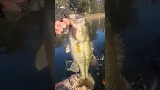 First Ever Below Freezing Bass!!! #Jesus #kayakfishingtips #bassfishing #fishing #jakobefishing#fish
