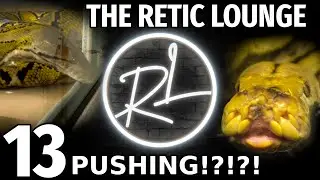 Reticulated Python Pushing | The Retic Lounge #13