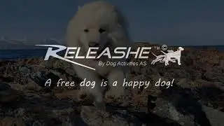 Releashe&copy;&trade; - The revolutionary freedom harness, intended for active dog owners.