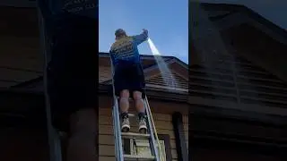 ROOF WASH 🧼 🙏🏼 #softwashing #roofcleaning
