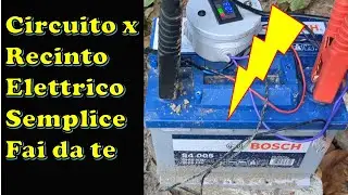 Realizza un semplice circuito elettronico oscillatore per recinto elettrico scossa per animali