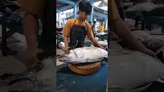 Perfect Tuna Cutting Techniques #fish #fishcutting #fishmarket #lokalmarket #fishing