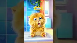 Ginger cantando Gentleman M-V