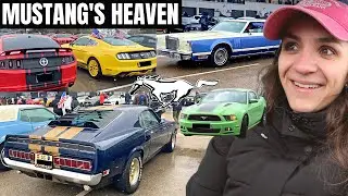 French Mustang Day 2022 | 350+ Ford Mustangs & other Muscle Cars (Galaxie, GT 40, AC Cobra...) 🏎