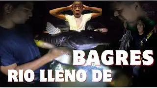 Subienda de Bagres Pesca con Arpón -Titanes de la Pesca Putumayo