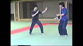 Su Dong Chen - Ba Gua and Hsing-I Part 2A