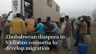 Zimbabwean diaspora in SA forms consortia to develop migration.