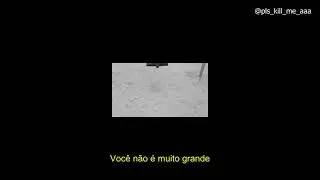 MGMT - When You're Small (Legendado)