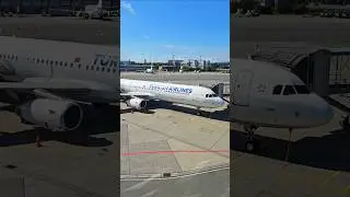 Turkish Airlines | Airbus A321 airplane #airplane #plane #a321  #shorts